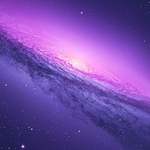 Meet your Posher, Nicolas